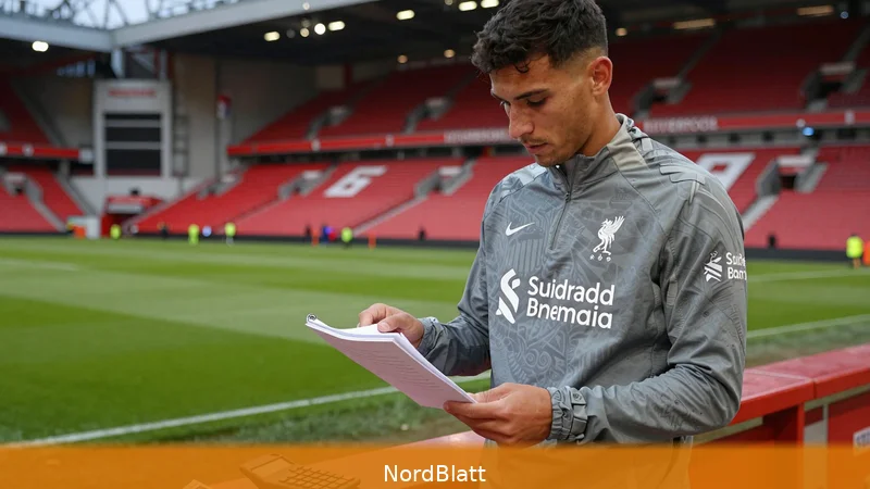 Wirtz Gehalt nach Liverpool: 12 Mio. Euro, 33.000 Euro pro Tag