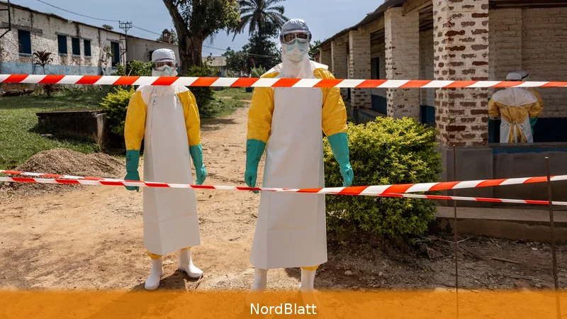900 Verdachtsfälle: Ex-Patient warnt vor Ebola